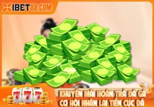 Khuyến Mãi Hoàn Trả Đá Gà – Cơ Hội Nhận Lại Tiền Cực Đã